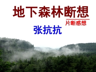 地下森林断想
