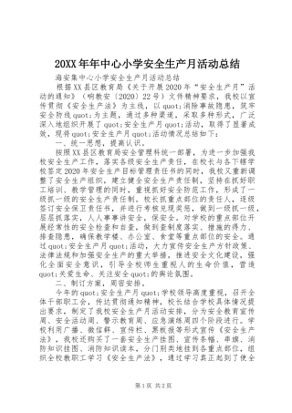 20XX年年中心小学安全生产月活动总结