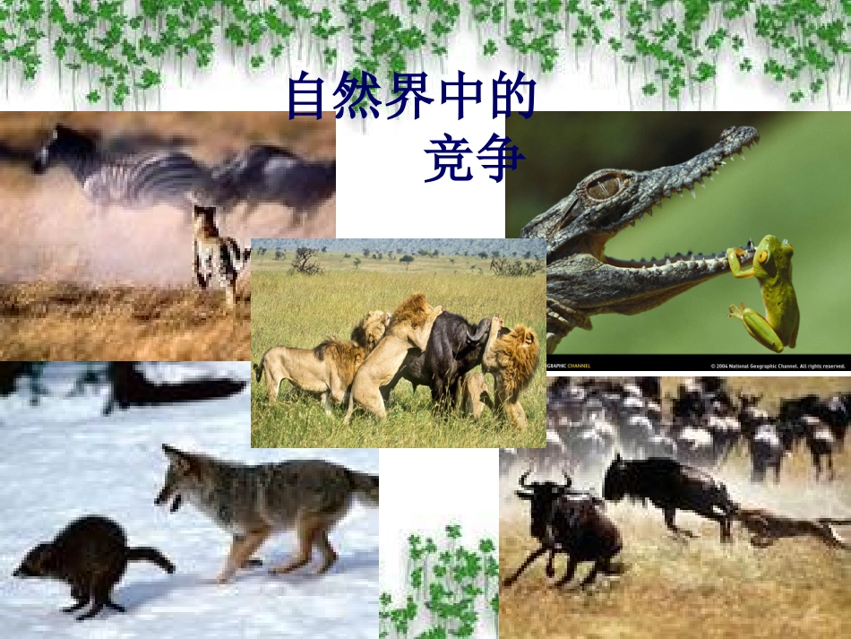 竞争？合作？_第3页