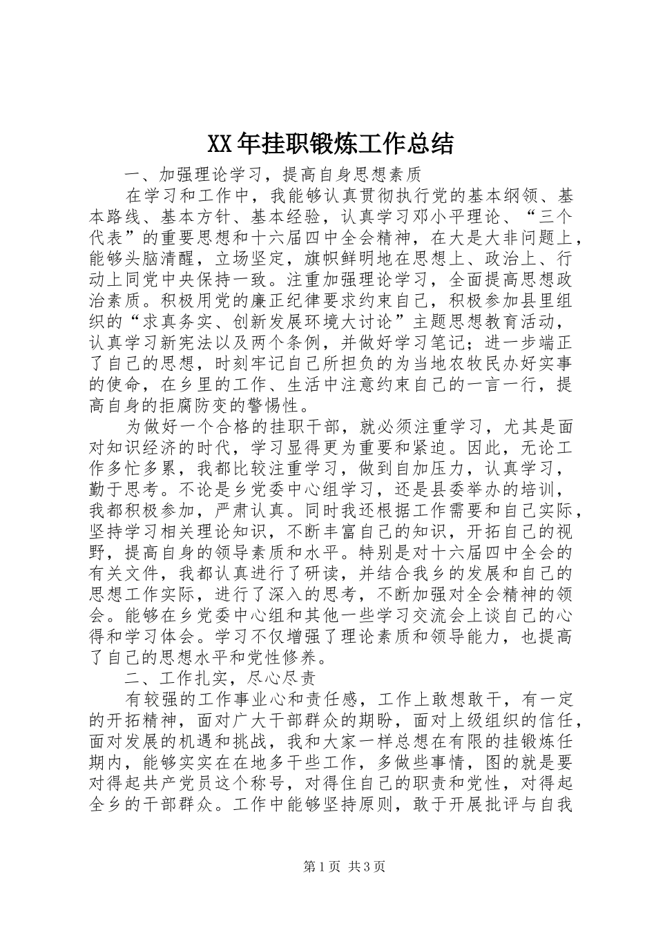 XX年挂职锻炼工作总结 _第1页