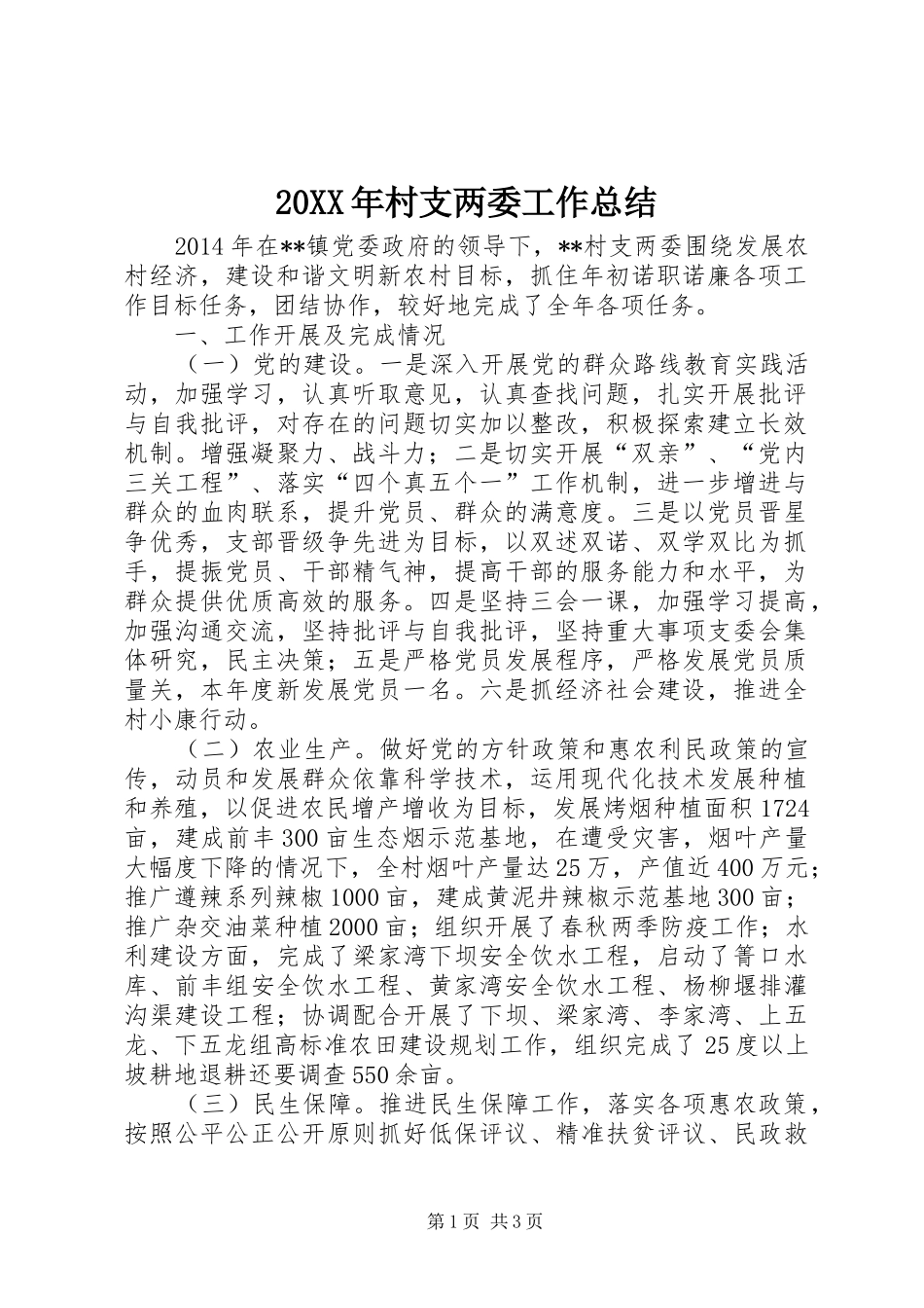 20XX年村支两委工作总结_第1页