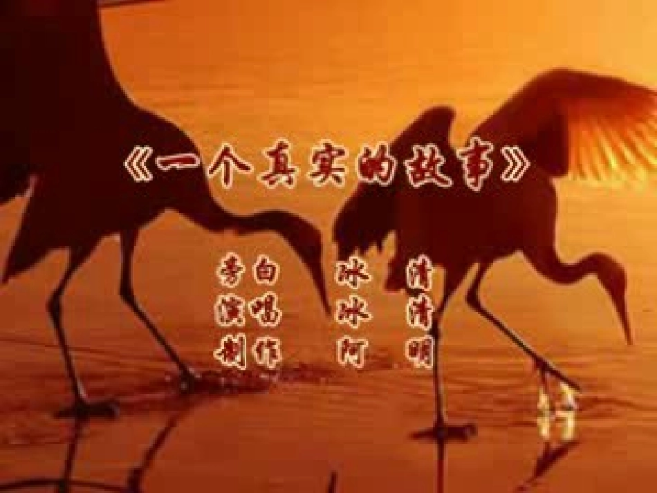 美丽的丹顶鹤_第2页
