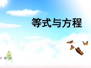 方程的认识模板