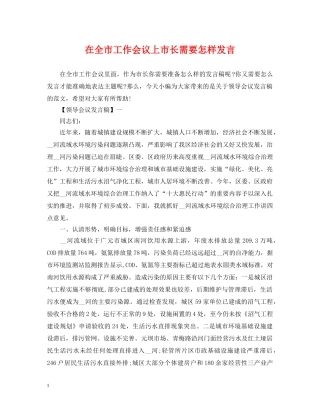 在全市工作会议上市长需要怎样发言 