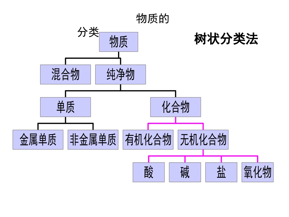 必修一第二章_第3页