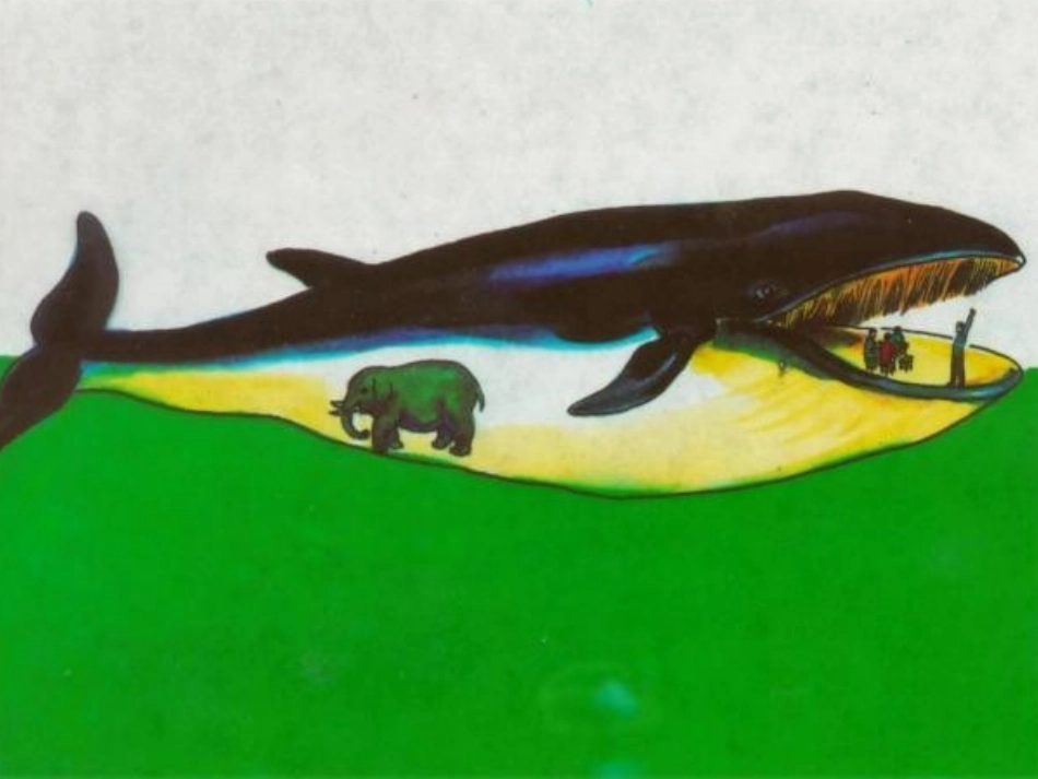 评优课-鲸1_第2页