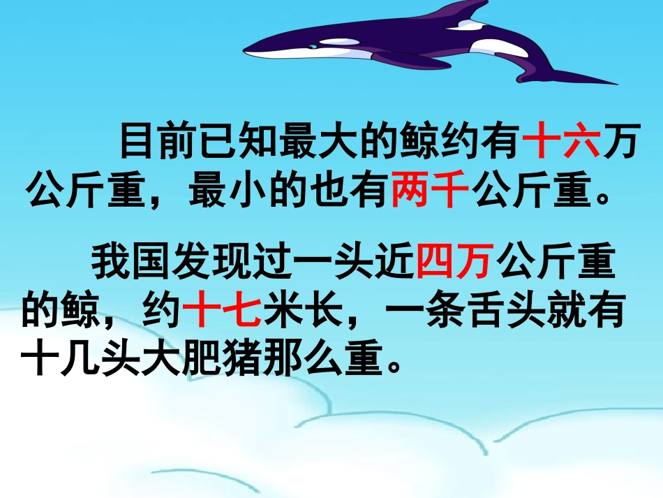 评优课-鲸1_第3页