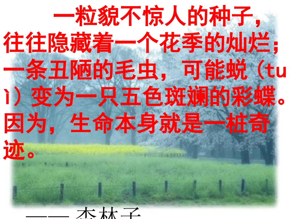 生命生命(新)_第3页