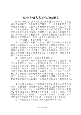 XX年乡镇人大工作总结范文 