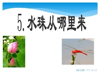 水珠从哪里来