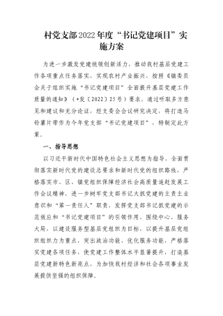 村党支部2022年度“书记党建项目”实施方案