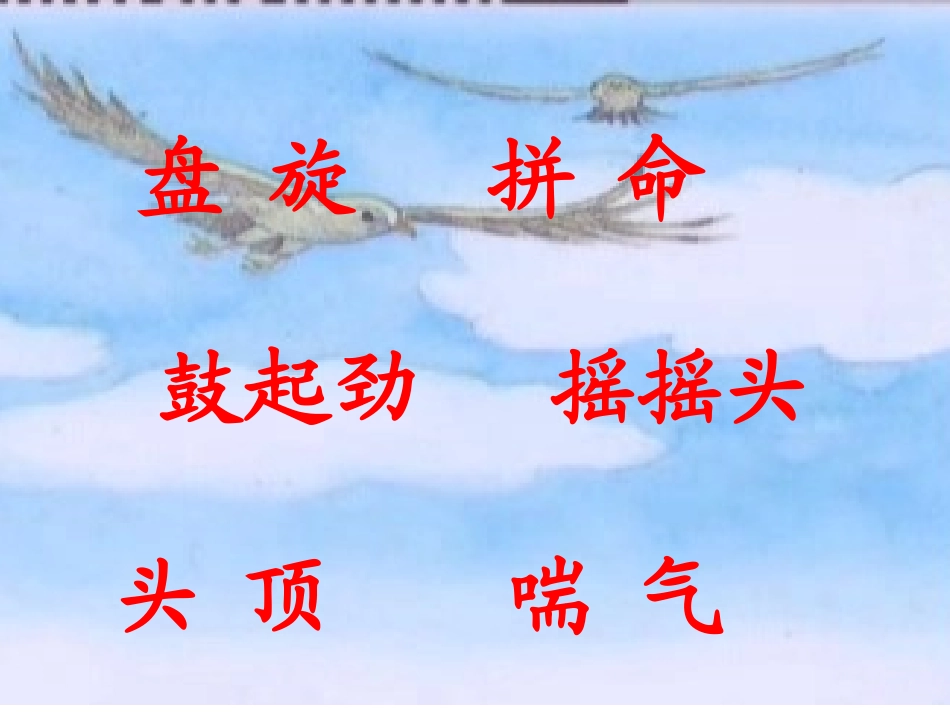 小鹰学飞课件_第3页