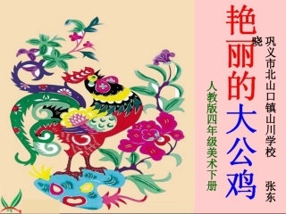 艳丽的大公鸡