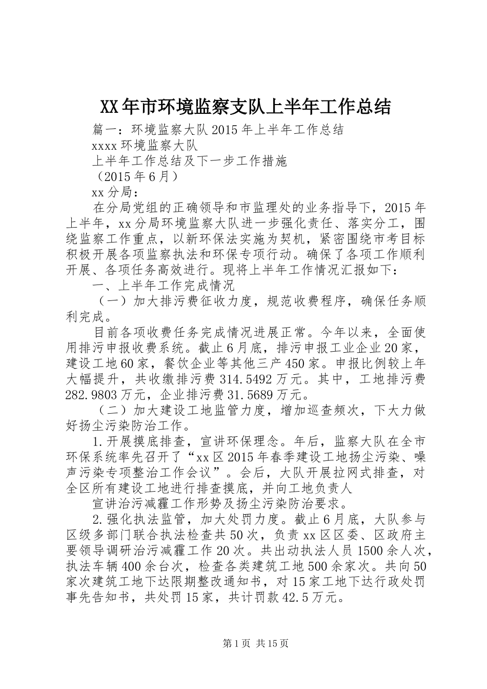 XX年市环境监察支队上半年工作总结 _第1页