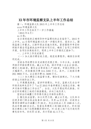 XX年市环境监察支队上半年工作总结 