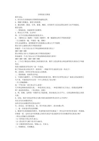 方程的意义教案