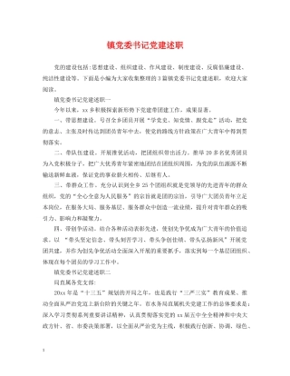 镇党委书记党建述职 