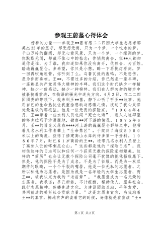 参观王蔚墓体会心得