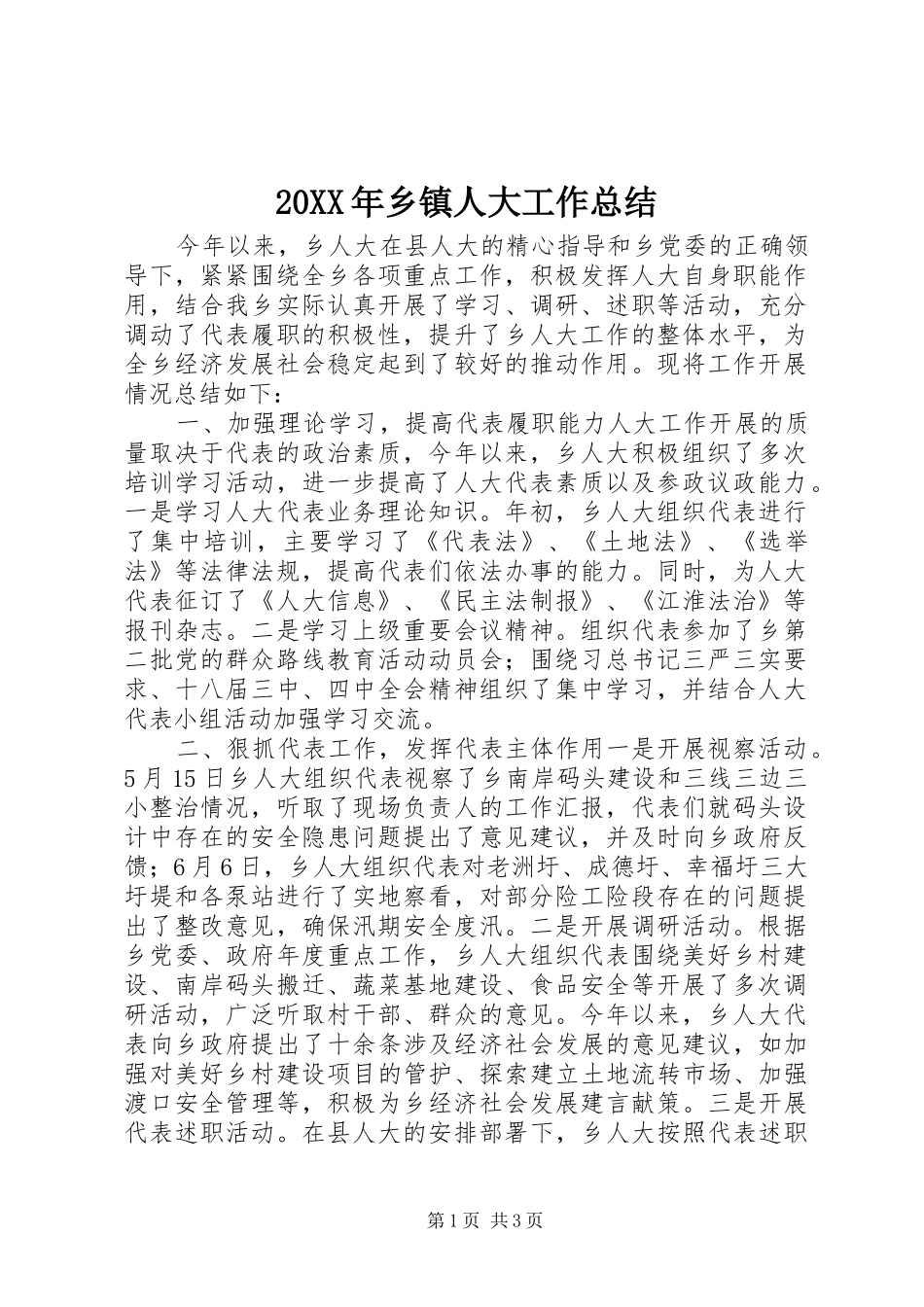 20XX年乡镇人大工作总结_第1页