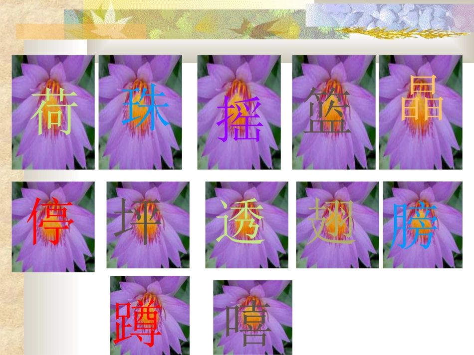 荷叶圆圆 (2)_第2页