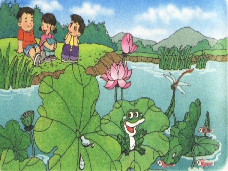 荷叶圆圆 (2)_第3页
