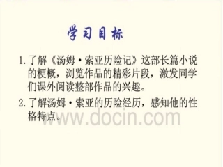 汤姆索亚历险记