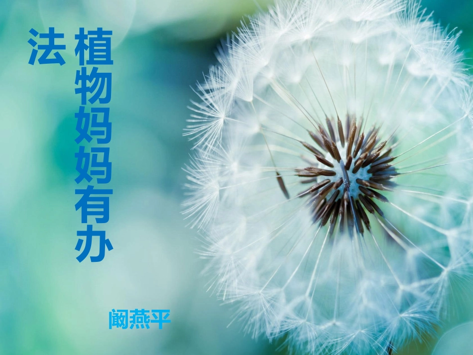 植物妈妈有办法_第1页