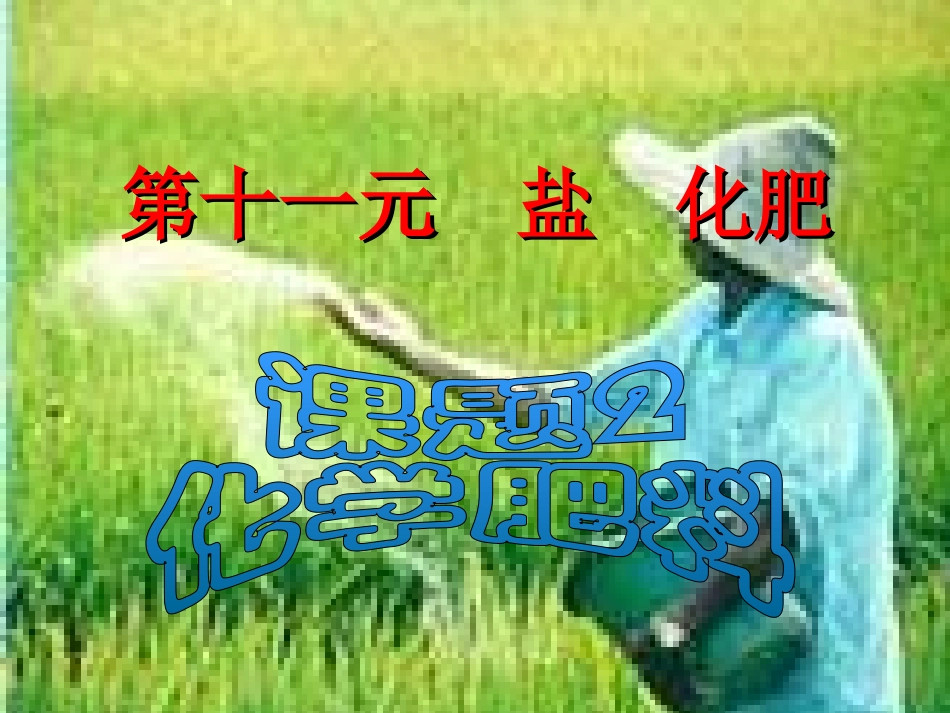 课题2化学肥料_第1页