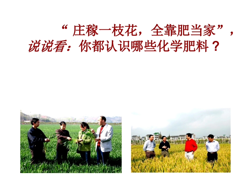 课题2化学肥料_第2页