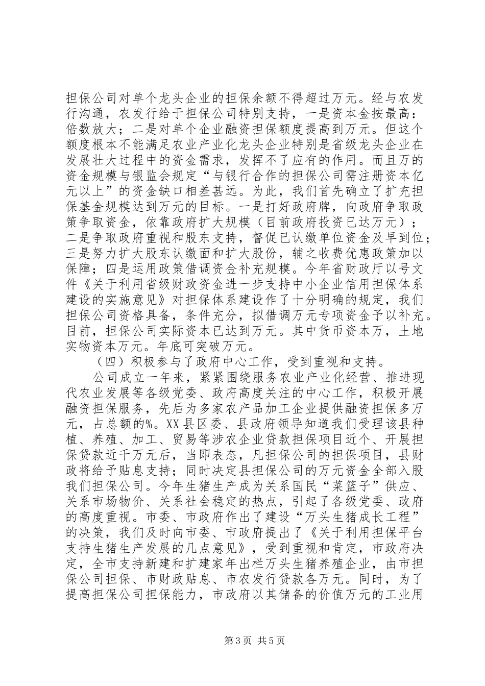农业信用担保公司年度总结 _第3页