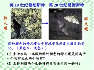 隔离与物种形成