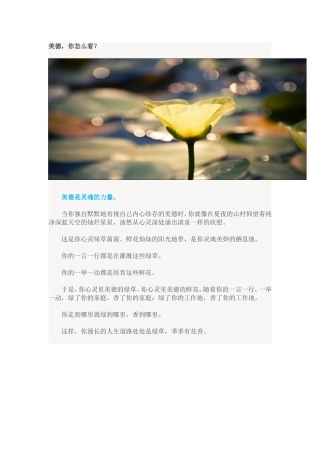 美德，你怎么看