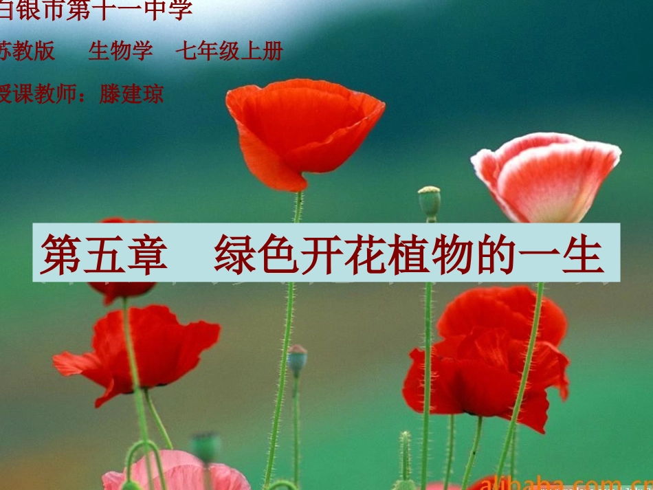 植物种子的萌发_第1页
