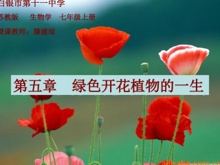 植物种子的萌发