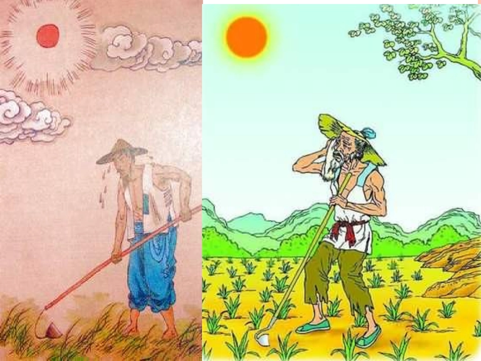 观刈麦公开课_第1页