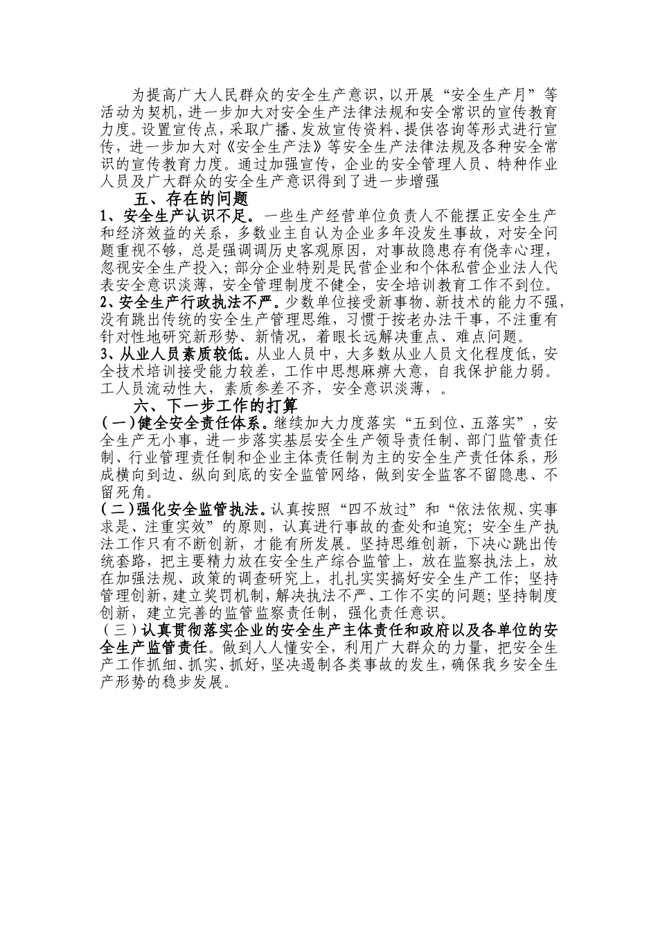 乡镇安全生产大检查工作总结汇报_第2页