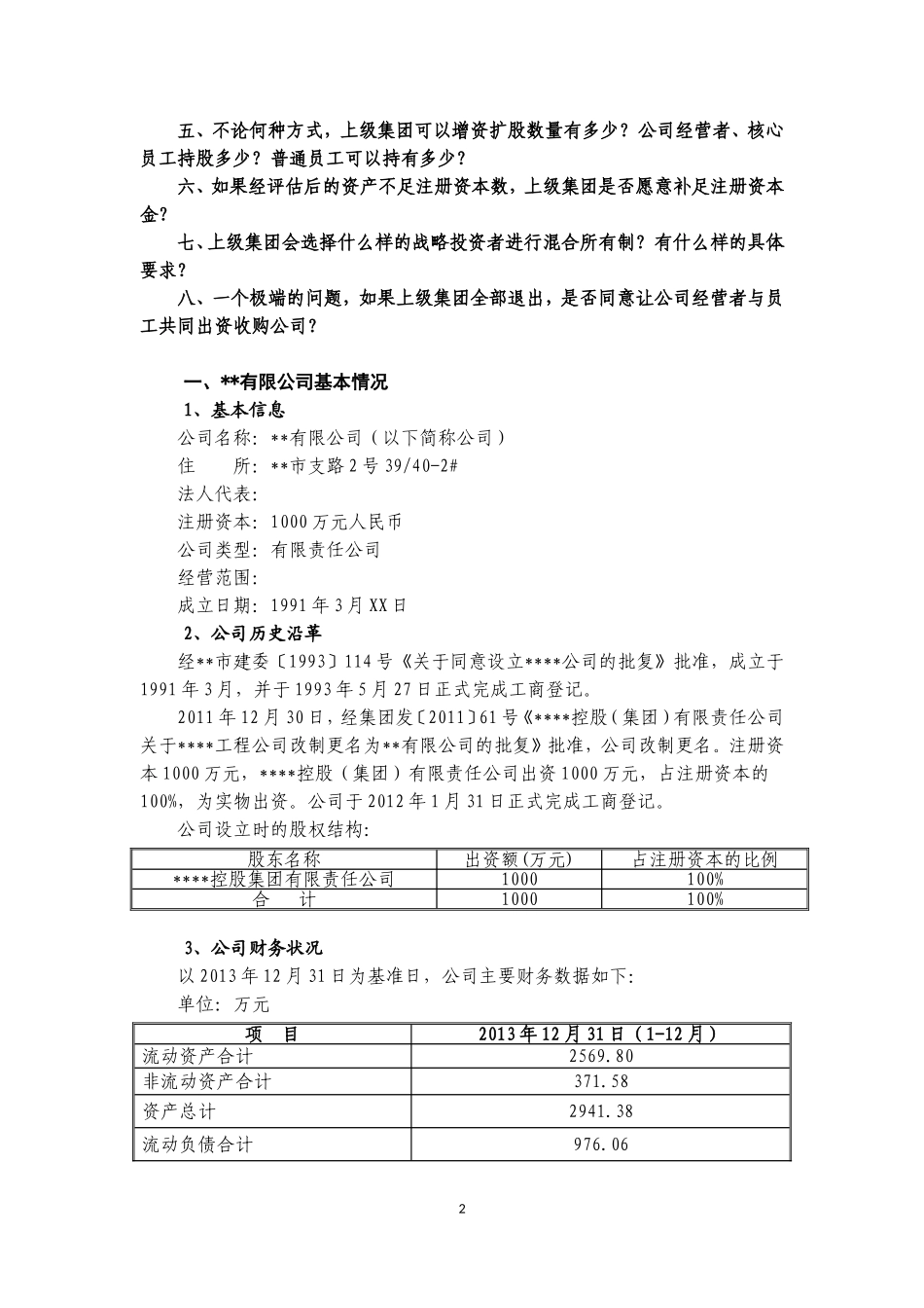 混合所有制发展模式研究与方案设计_第2页