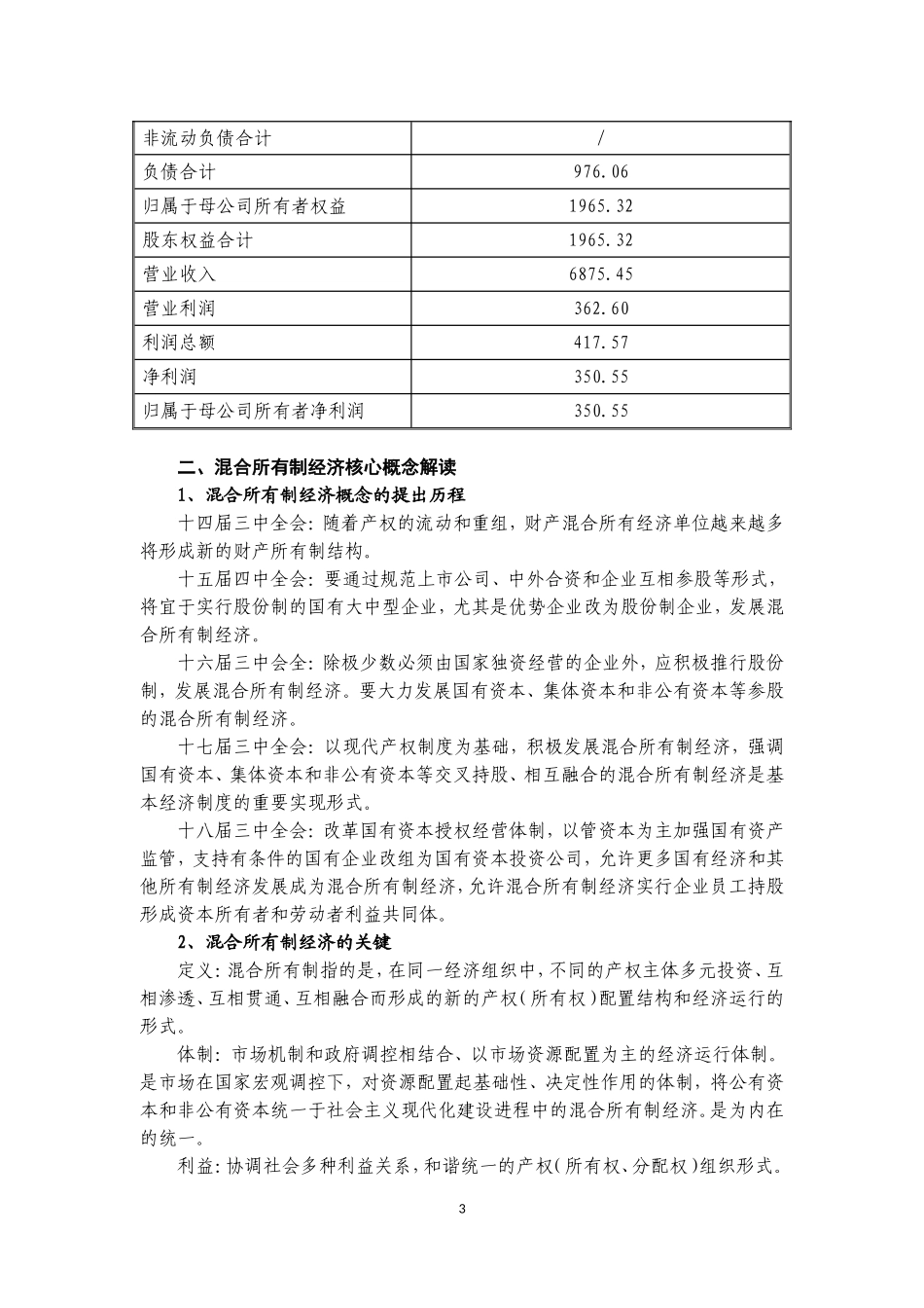 混合所有制发展模式研究与方案设计_第3页