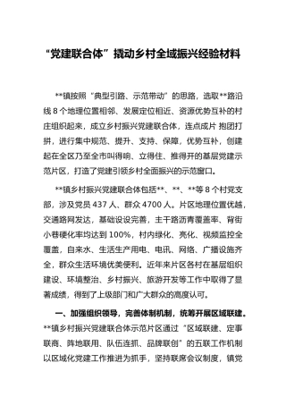 “党建联合体”撬动乡村全域振兴经验材料