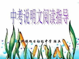 说明文阅读课件