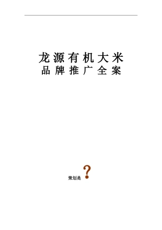 高端大米品牌推广方案