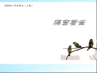 隔窗看雀课件1