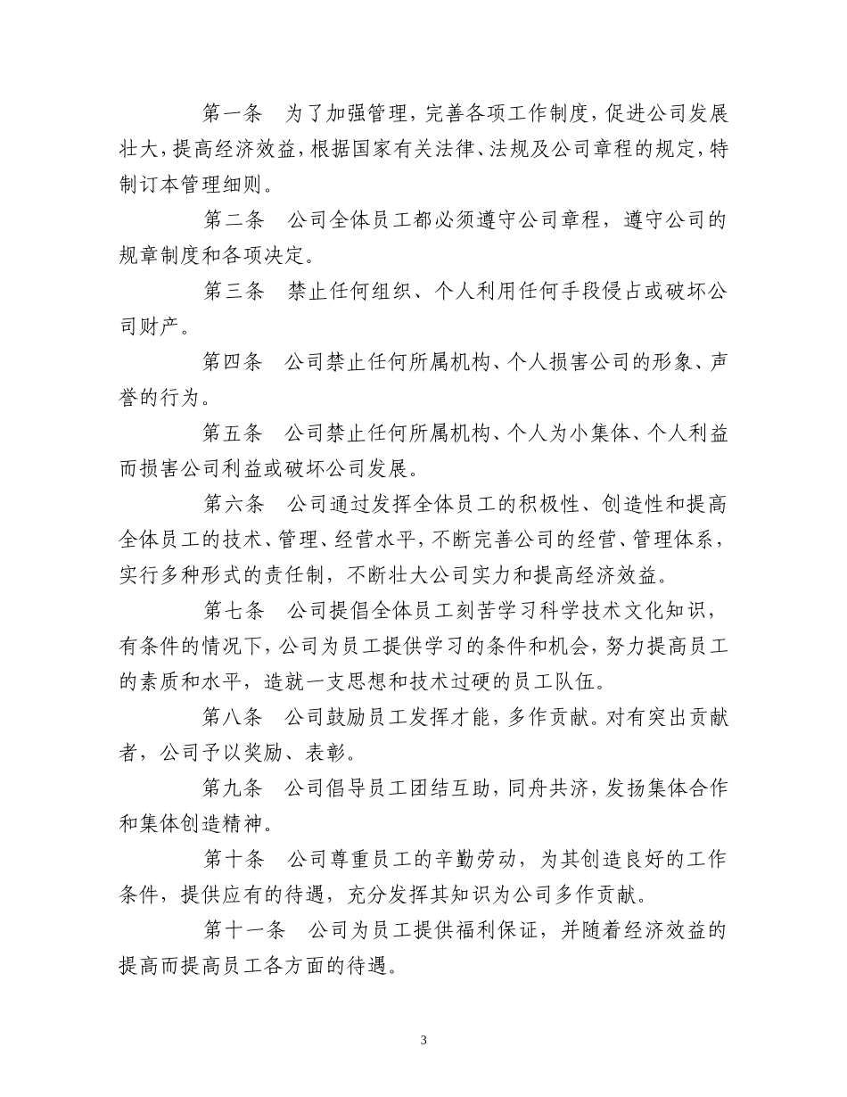 国企公司规章制度_第3页