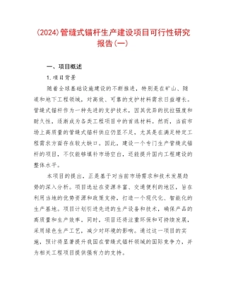 (2024)管缝式锚杆生产建设项目可行性研究报告(一)