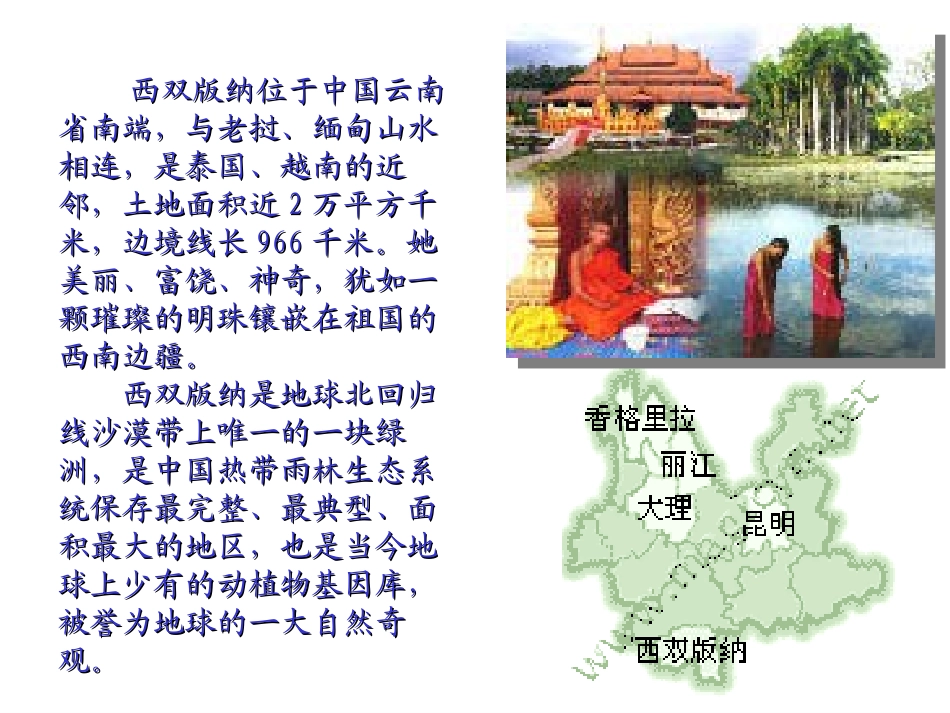 美丽的西双版纳_第3页