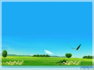 美丽的西双版纳