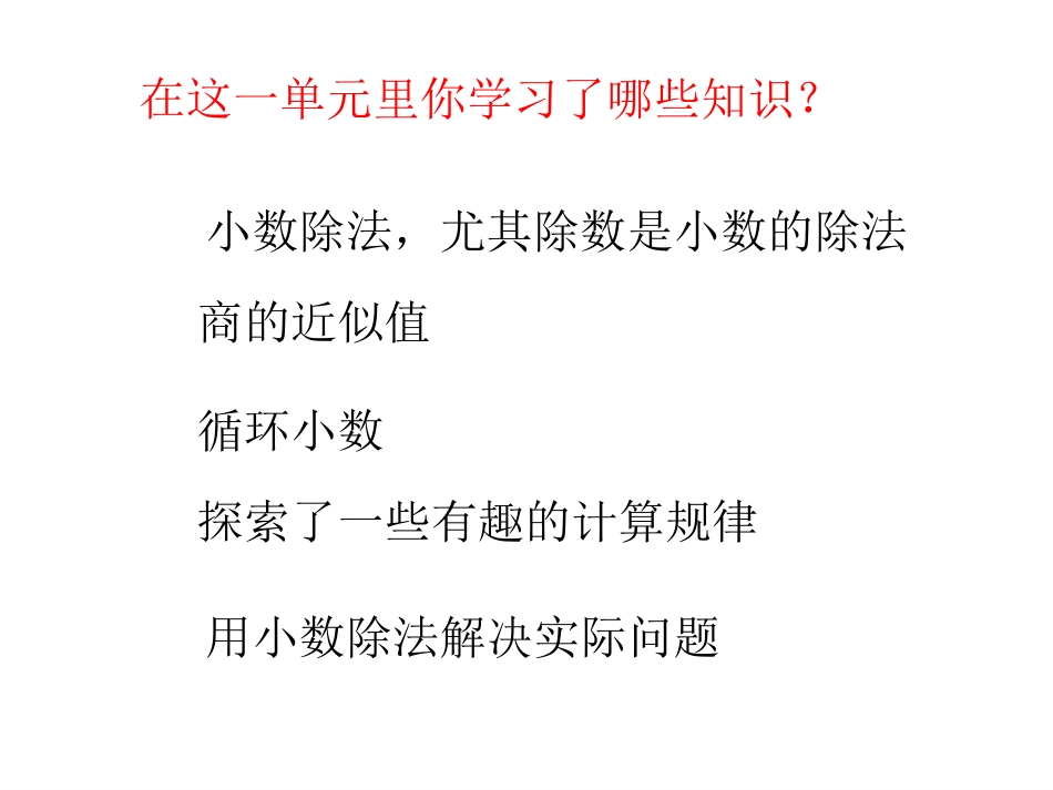 小数除法复习3_第2页