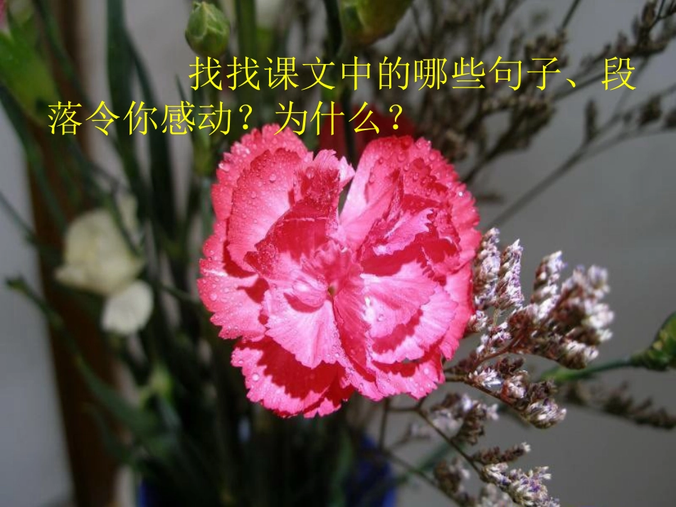 生命的感动上课_第3页