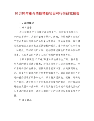 10万吨年重介质铁精粉项目可行性研究报告