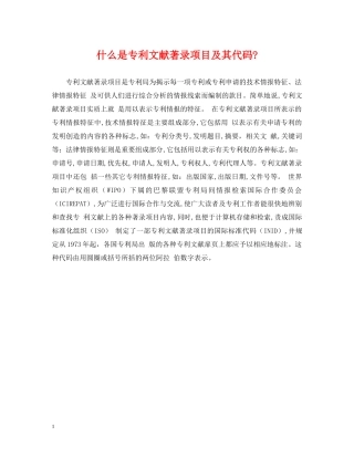 什么是专利文献著录项目及其代码-